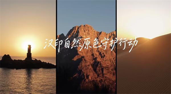 九五至尊VI三原色守护行动